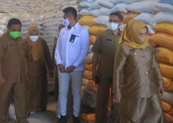 Wakil Bupati Pohuwato, Suharsi Igirisa, bersama Pjs Sekda Pohuwato, Zukri Surotinojo, dan pimpinan sejumlah OPD mengecek stok dan kualitas beras program PKH dan BST. (Kominfo Pohuwato)