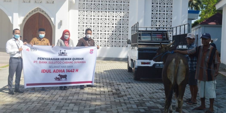 Penyaluran Hewan Kurban