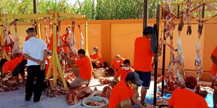 Petugas sedang memisahkan daging sapi kurban, yang nantinya dibagikan kepada masyarakat, Rabu (21/7/2021). (Foto: Sari/gopos)