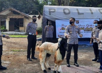 Kapolres Gorontalo, AKBP Ade Permana berserta jajaran Polres Gorontalo saat hendak melakukan penyembelihan hewan  kurbandi halaman belakang Polres Gorontalo, Rabu (21/7/2021). (Foto istimewa)