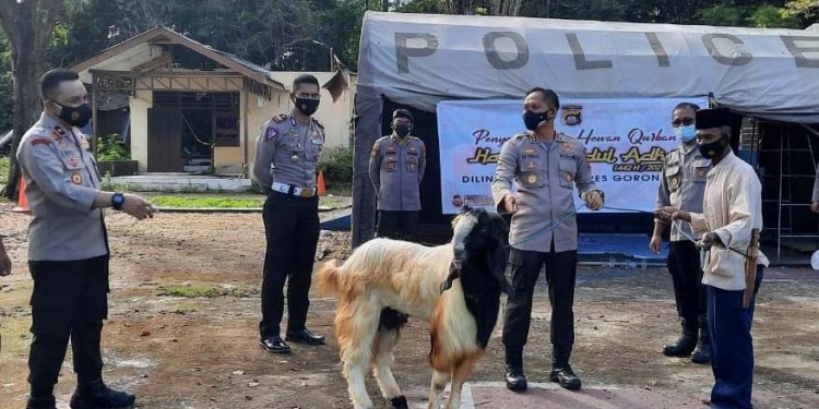 Kapolres Gorontalo, AKBP Ade Permana berserta jajaran Polres Gorontalo saat hendak melakukan penyembelihan hewan  kurbandi halaman belakang Polres Gorontalo, Rabu (21/7/2021). (Foto istimewa)