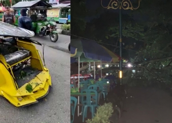 Pohon tumbang di Limboto, Kabupaten Gorontalo menimpa sebuah bentor dan warung PKL.
