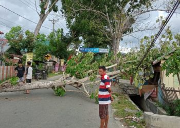 Pohon tumbang yang menimpa sebuah warung di Kelurahan Wongkaditi Timur, Kota Gorontalo.