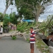 Pohon tumbang yang menimpa sebuah warung di Kelurahan Wongkaditi Timur, Kota Gorontalo.