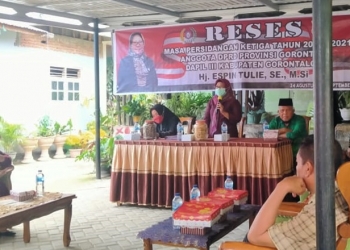 Reses Aleg Deprov, Espin Tulie