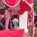 Bupati Bone Bolango Hamim Pou saat menjadi inspektur upacara dalam peringatan HUT Kemerdekaan Republik Indonesia ke 76. (Indra/Gopos)