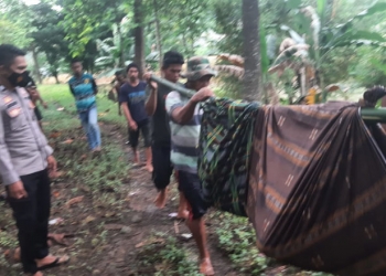 Jasad MO dievakuasi warga dari tepi sungai Mebongo, Kecamatan Sumalata, Kabupaten Gorontalo Utara. (istimewa)