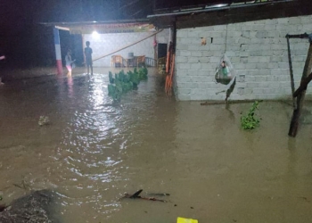 Sejumlah rumah warga di Desa Tumbuh Mekar terendam banjir akibat hujan yang mengguyur wilayah tersebut sepanjang hari, Rabu (1/9/2021). (istimewa)