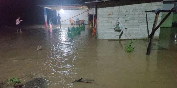 Sejumlah rumah warga di Desa Tumbuh Mekar terendam banjir akibat hujan yang mengguyur wilayah tersebut sepanjang hari, Rabu (1/9/2021). (istimewa)