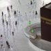 Ilustrasi: umrah ke baitullah