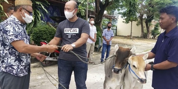 Kepala Biro Logistik Polda Gorontalo, Kombes Pol Deny Irwansyah (Tengah) sedang menyerahkan dua ekor sapi kepada pensiunan Polri, AKBP Sarmin Tamola (kiri), Ahad (3/10/2021). Foto : istimewa