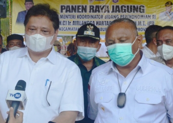 Menko Perekonomian, Airlangga Hartarto didampingi Gubernur Gorontalo, Rusli Habibie, saat meninjau panen raya jagung di Desa Dulupi, Boalemo. (putra/gopos)