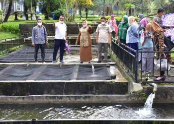 Budidaya Ikan Air Tawar