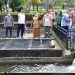 Budidaya Ikan Air Tawar