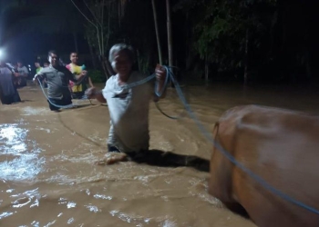 Proses evakuasi sejumlah warga yang terjebak banjir. (Foto istimewa)