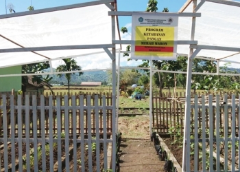 Kebun pertanian atau green house yang dibangun oleh Mahasiswa KKNT UNG untuk masyarakat Desa Kuala Lumpur (istimewa)