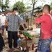 Banjir Bandang