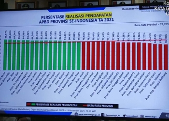 Persentase realisasi belanja dan pendapatan daerah secara nasional.