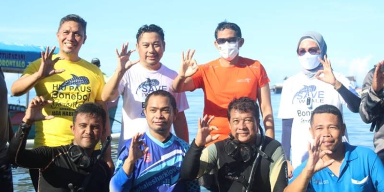 Wisata Hiu Paus