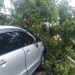 Sebuah pohon di depan RS Bumi Panua roboh dan menimba mobil yang sedang terparkir, Rabu (8/12/2021). (istimewa)