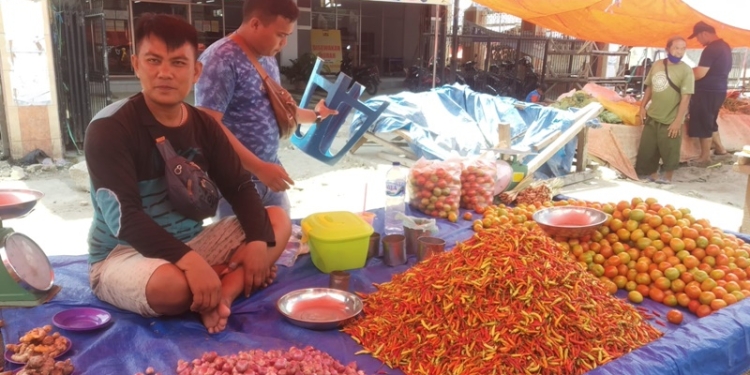 Ismail Umar warga asal kelurahan Kayubulan, Kecamatan Limboto yang juga penjual cabai ini mengaku harga cabai kurang lebih dua hari terakhir ini mengalami penurunan sementara harga Tomat meningkat di pasar mingguan Limboto. (Foto: Putra/Gopos)