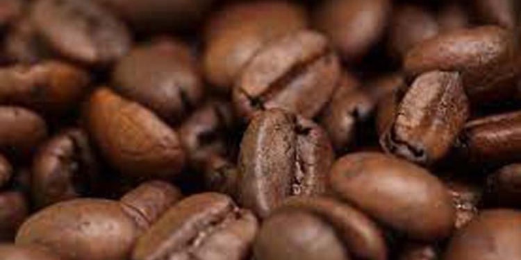 Ilustrasi biji kopi. (Foto dokumen Google)