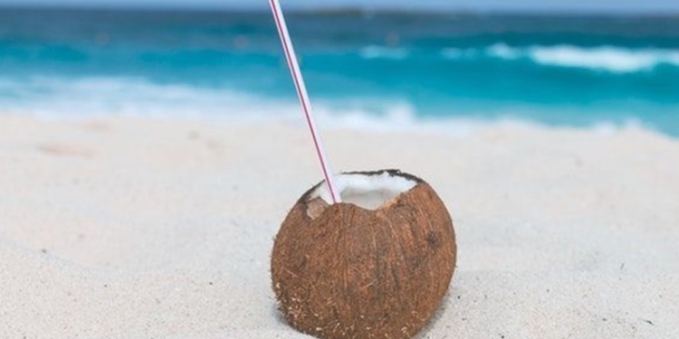 Ilustrasi air kelapa (Craig Adderley/Pexels).