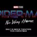 Spider-Man No Way Home. (Instagram/tomholland2013)