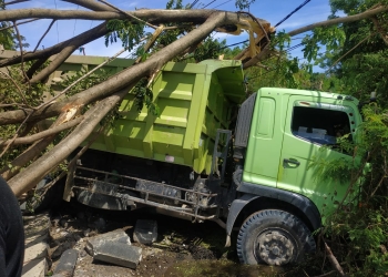 Kondisi dump truck yang menabrak sebuah pohon pelindung di kompleks blok plan Pohuwato, Jumat (14/1/2022). (yusuf/gopos)