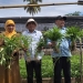 Bupati Bone Bolango, Hamim Pou bersama para petani perempuan saat melakukan panen perdana sayuran kangkung di Desa Bandungan Kecamatan Bulango Utara. (Foto Indra/Gopos)