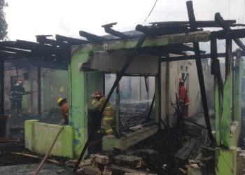 Kebakaran yang terjadi di Desa Luwoo, Kecamatan Telaga Jaya. foto/putra gopos