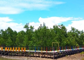 Kawasan Mangrove di wilayah Marisa, Pohuwato