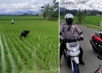 Cuplikan video dua remaja yang mengelabui agar tak ditilang dengan menggarap sawah. (istimewa)
