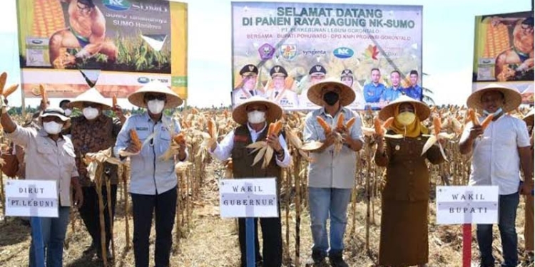 Foto bersama Wagub Gorontalo H. Idris Rahim (tengah) dengan Wakil Bupati Pohuwato, Kepala Dinas Pertanian Provinsi Gorontalo dan pimpinan PT. Perkebunan Lebuni Gorontalo pada panen jagung di Desa Bukit Tinggi, Kecamatan Popayato, Kabupaten Pohuwato, Senin (24/1/2022). (Foto: Haris)