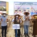 Foto bersama Wagub Gorontalo H. Idris Rahim (tengah) dengan Wakil Bupati Pohuwato, Kepala Dinas Pertanian Provinsi Gorontalo dan pimpinan PT. Perkebunan Lebuni Gorontalo pada panen jagung di Desa Bukit Tinggi, Kecamatan Popayato, Kabupaten Pohuwato, Senin (24/1/2022). (Foto: Haris)
