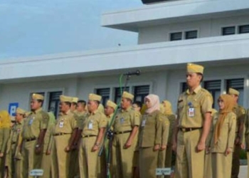 Ilustrasi pegawai honorer. Pada tahun depan, Pemerintah mentiadakan pegawai honorer di instansi pemerintah.