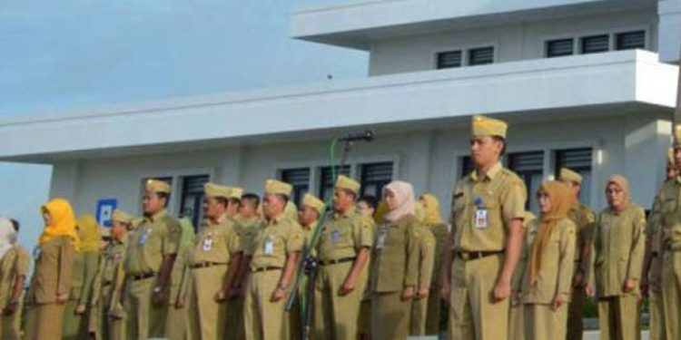 Ilustrasi pegawai honorer. Pada tahun depan, Pemerintah mentiadakan pegawai honorer di instansi pemerintah.