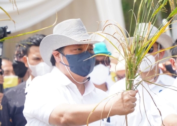 Menteri Koordinator Bidang Perekonomian Airlangga Hartarto menyaksikan langsung panen perdana Padi Gogo pada Proyek Penelitian Padi Gogo milik PT Huma Indah Mekar (HIM) di Kabupaten Tulang Bawang Barat, Provinsi Lampung, Sabtu (12/2/2022), (dok. https://www.ekon.go)