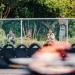 Di hari pertama Tes Pramusim MotoGP di Sirkuit Mandalika, Jumat (11/2/2022) warga lokal di Mandalika terlihat nonton dari luar area sirkuit. [Foto : Istimewa]