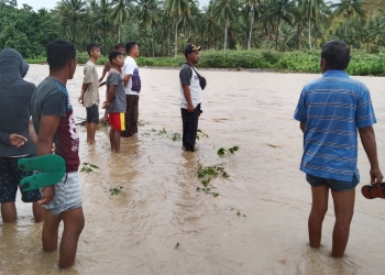 Sejumlah warga ikut melakukan pencarian terhadap dua orang yaitu ibu dan anak yang hanyut saat menyeberang sungai di Desa Karya Baru, Kecamatan Dengilo, Pohuwato, Ahad (20/3/2022) (istimewa)