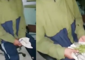 Pengedar ganja menjadi korban penipuan bandar yang malah memberinya daun tanaman hias, sehingga ia melaporkannya ke polisi. (suara.com)