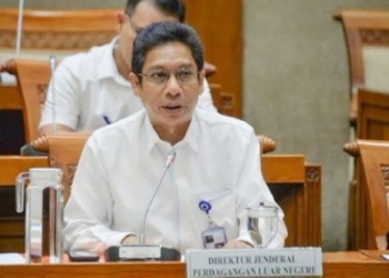 Direktur Jenderal Perdagangan Luar Negeri Kementerian Perdagangan, Indrasari Wisnu Wardhana. (Suara.com)