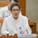 Direktur Jenderal Perdagangan Luar Negeri Kementerian Perdagangan, Indrasari Wisnu Wardhana. (Suara.com)