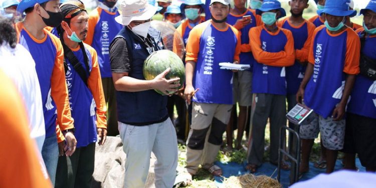 Peran Generasi Milenial Bantu Wujudkan Pertanian Modern. (Istimewa)