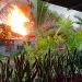 Diduga akibat korsleting listrik satu rumah di Jalan Yusuf Hasiru, Kelurahan Kayubulan, Kecamatan Limboto, Kabupaten Gorontalo habis terbakar Kamis pagi (28/4/2022). (Foto: Istimewa)