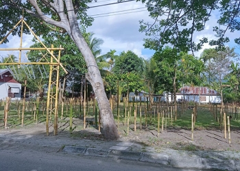 Persiapan tumbilotohe di wilayah Kota Gorontalo, Selasa (26/4/2022). (farun/gopos)