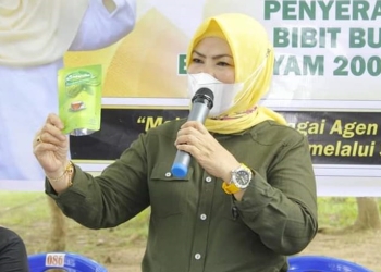Idah Syahidah (foto: FB @Idah Syahidah Sang Pemberdaya)
