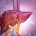 Hepatitis Akut atau Hepatitis Misterius. (Suara.com)