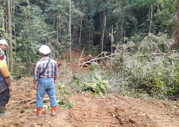 Kawasan hutan PT IGL di Desa Kelapa Lima, Kecamatan Popayato Timur, Pohuwato. (istimewa)