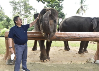 Wali Kota Gorontalo Marten Taha, saat mengunjungi Wisata Satwa Lembah Hijau, Lampung Sabtu, (28/5/2022). Foto : istimewa